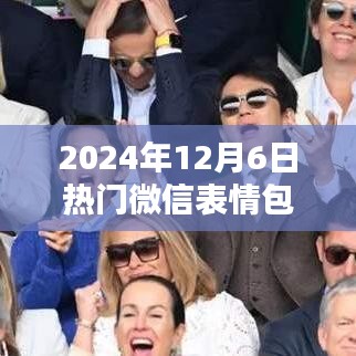 2024年12月6日热门微信表情包的意思，2024年12月6日最火微信表情包含义解析