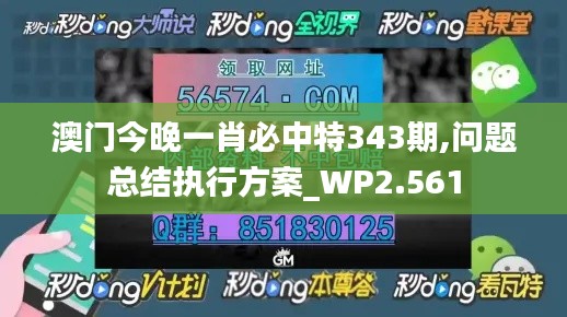 澳门今晚一肖必中特343期,问题总结执行方案_WP2.561