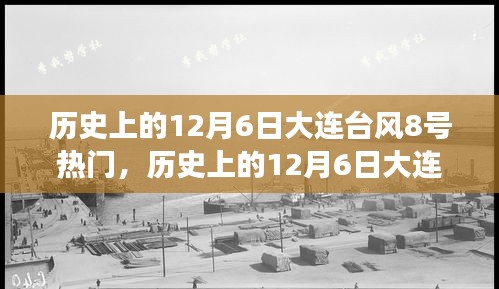 历史上的大连台风事件，深度剖析与评测——揭秘大连遭遇台风8号的背后故事与影响