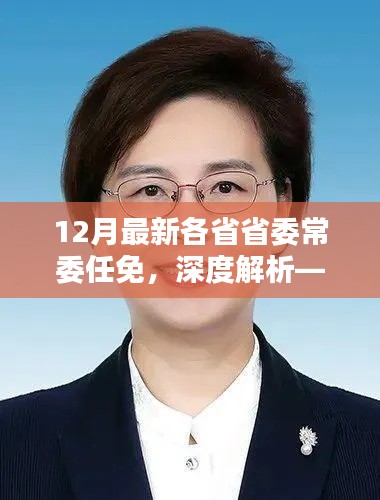 最新十二月各省省委常委任免概览及深度解析