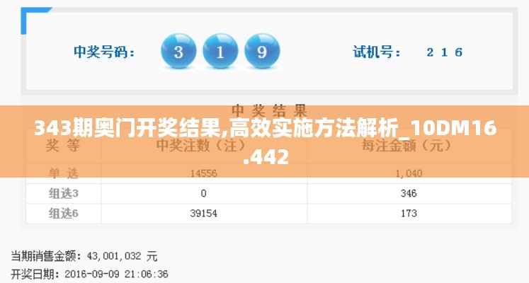 343期奥门开奖结果,高效实施方法解析_10DM16.442