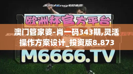 澳门管家婆-肖一码343期,灵活操作方案设计_投资版8.873