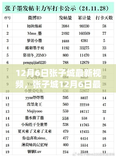 张子城12月6日最新视频，从零开始的任务指南，轻松掌握新技能教学