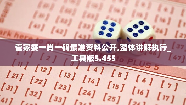管家婆一肖一码最准资料公开,整体讲解执行_工具版5.455
