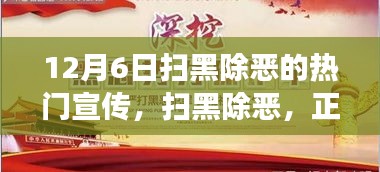 扫黑除恶行动，正义之光——最新宣传解读与行动进展报告（12月6日）