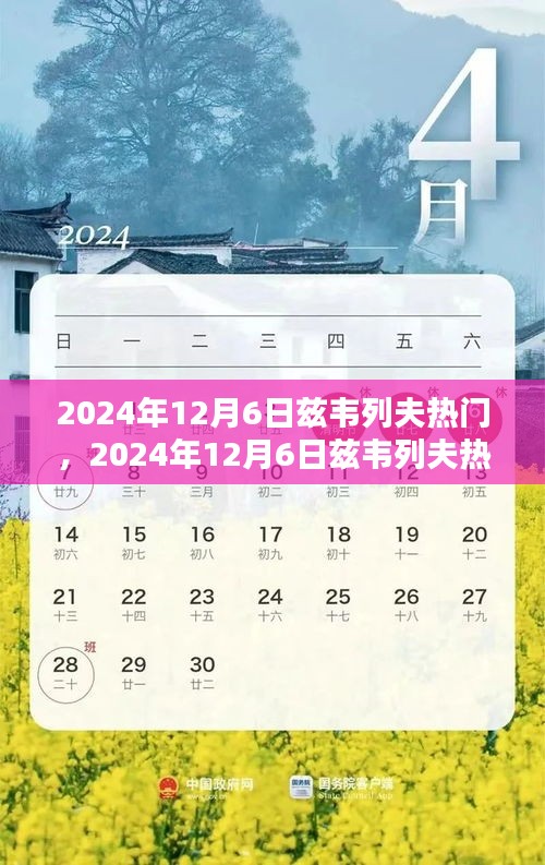 兹韦列夫热门话题深度解析，聚焦2024年12月6日热议话题