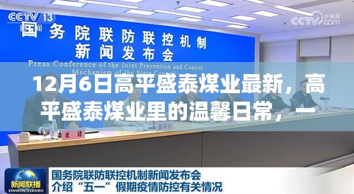 高平盛泰煤业里的温馨日常，友情、爱与陪伴的动人篇章