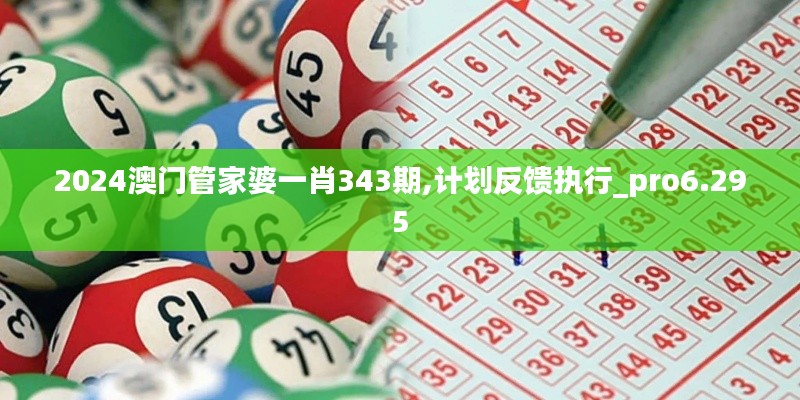 2024澳门管家婆一肖343期,计划反馈执行_pro6.295
