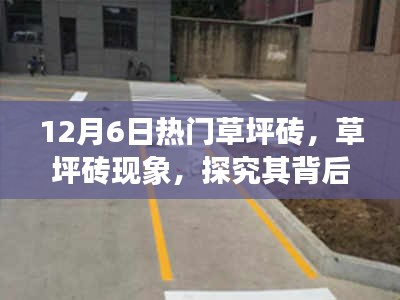 环肥燕瘦 第4页