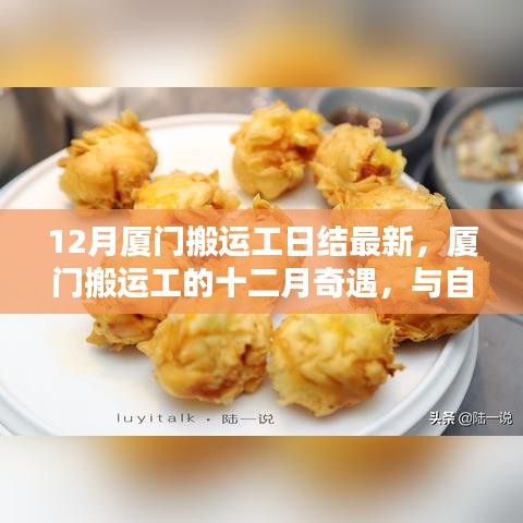 厦门搬运工十二月奇遇，与自然共舞，寻找内心的平和静谧