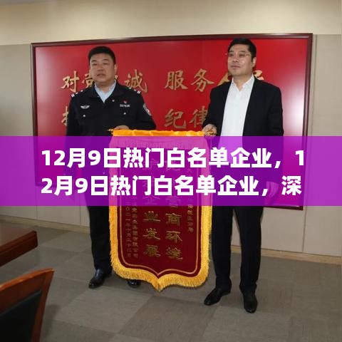 深度解读与观点阐述，12月9日热门白名单企业概览