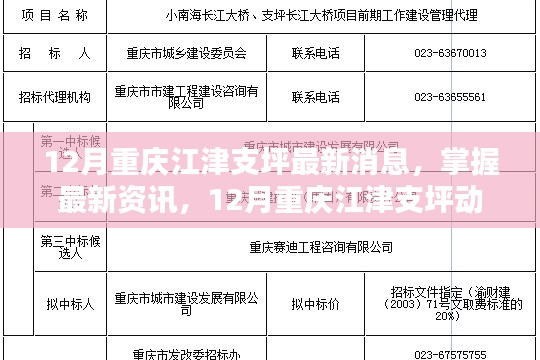 掌握最新资讯，重庆江津支坪动态步骤指南（最新消息）