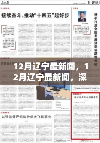 深度解读，最新辽宁时事新闻深度评测与介绍