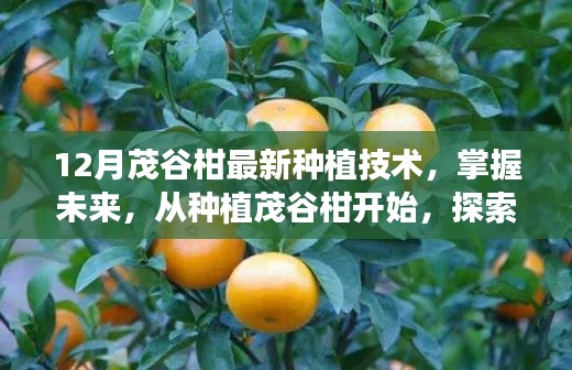 掌握未来茂谷柑种植技术，探索12月最新种植自信的启程之旅