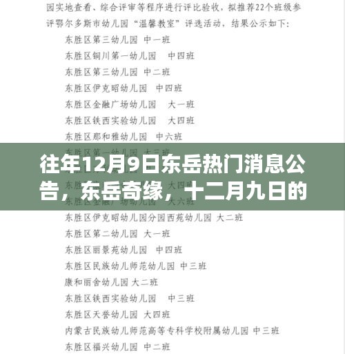 东岳奇缘，十二月九日的温馨奇遇公告