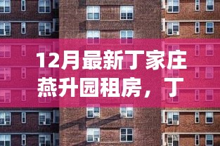 丁家庄燕升园租房，历史背景、重要事件与当代影响的探索