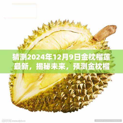 揭秘未来，金枕榴莲在2024年12月9日的崭新风采展望与预测