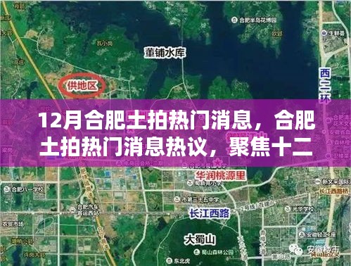 12月合肥土拍热门消息，合肥土拍热门消息热议，聚焦十二月土拍动态与各方观点