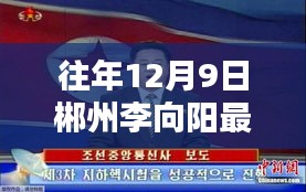 竞品对比与用户洞察