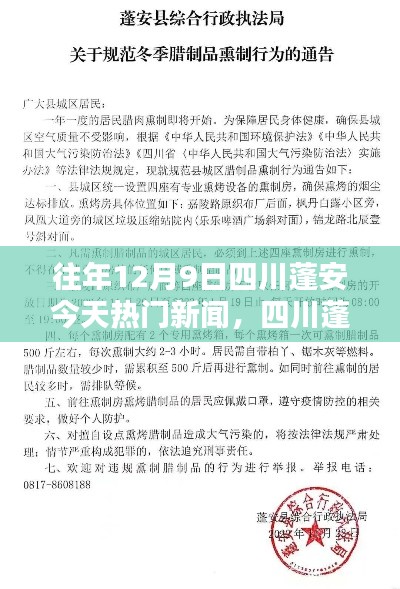 四川蓬安地区历年12月9日热门新闻回顾与今日聚焦