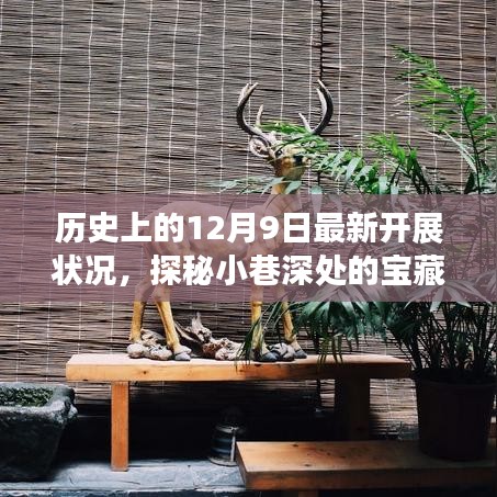 探秘历史尘埃中的宝藏，12月9日小巷深处的特色小店揭秘。