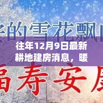 暖阳下的新耕地，友情、家庭与温馨建房的温馨故事