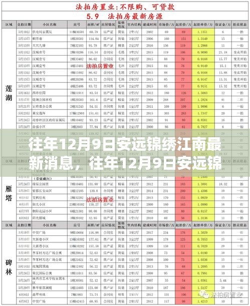 往年12月9日安远锦绣江南最新消息揭秘，获取全攻略与资讯技巧
