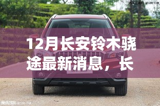 长安铃木骁途探秘之旅启幕，最新动态揭秘，启程感受宁静与远方风景的魅力