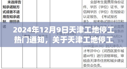 天津工地停工通知解读，以天津某工地停工事件为例，深度解析停工通知背后的原因和影响