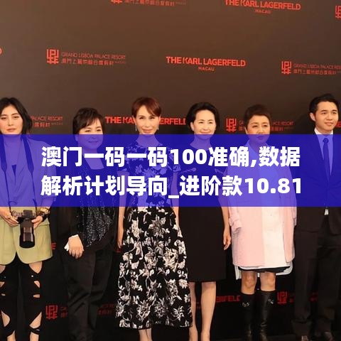 澳门一码一码100准确,数据解析计划导向_进阶款10.816