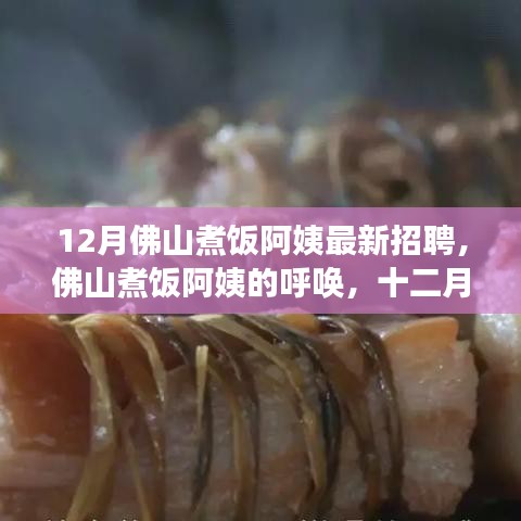 佛山煮饭阿姨12月最新招聘背后的故事，寻找温暖厨房的守护者