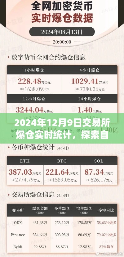 交易所爆仓日与心灵回归自然的奇妙之旅探索实时统计及自然美景之旅体验