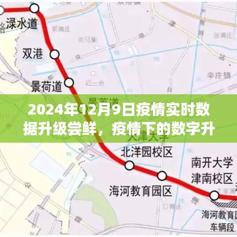 雅人清致 第5页