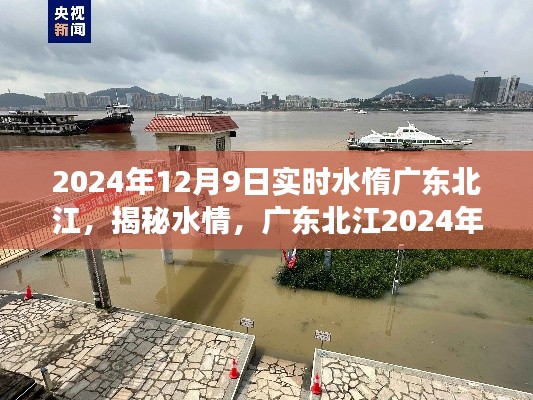 广东北江2024年12月9日水情揭秘，水惰现象探讨