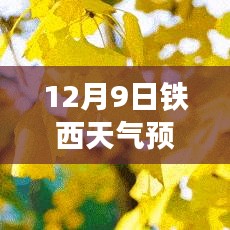 解读铁西风云，揭秘天气预报背后的故事（铁西实时天气预报查询）
