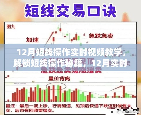 12月短线操作秘籍揭秘，实时视频教学开启投资新篇章