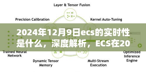 建议，ECS在2024年12月9日的实时性能深度解析与评测