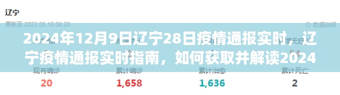2024年12月9日辽宁疫情实时通报详解，获取与解读指南（初学者与进阶用户共融参考）