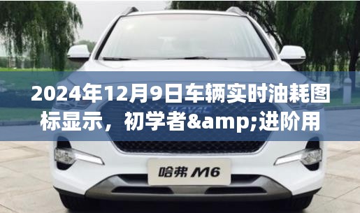 车辆实时油耗图标设置详解，初学者与进阶用户指南（2024年12月9日版）