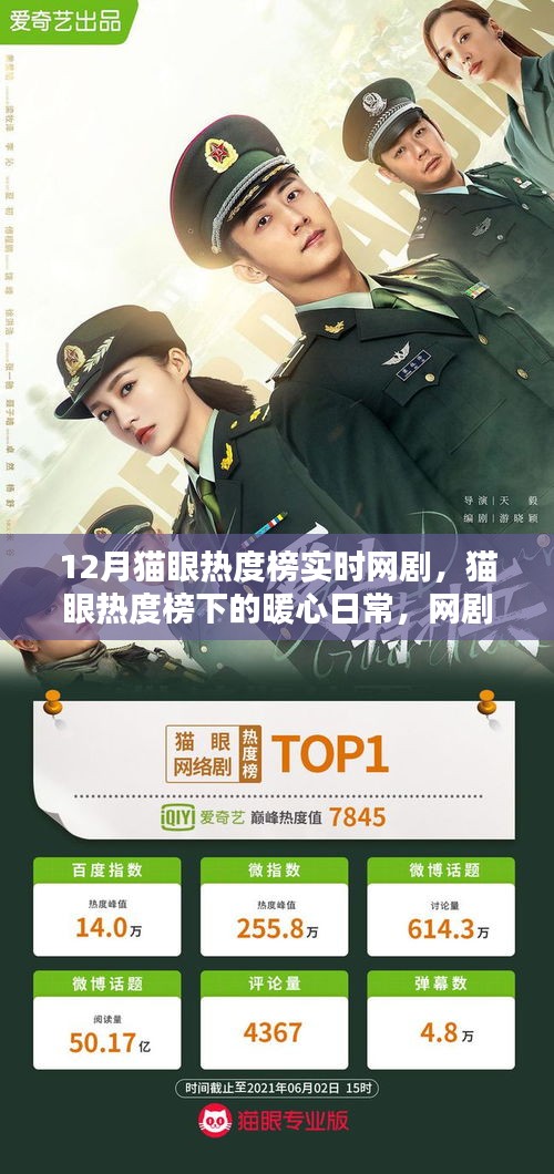 暖心日常与爱的传递，12月猫眼热度榜下的网剧陪伴时刻