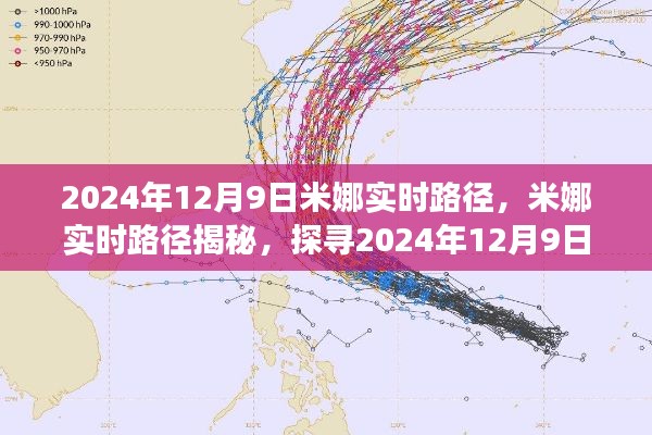 揭秘米娜实时路径，探寻风云变幻的2024年12月9日路径揭秘