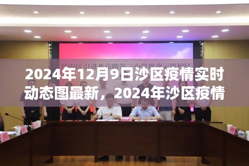 2024年沙区疫情实时动态深度解析与防控指南（小红书版）