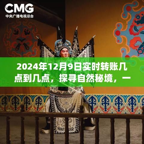 探寻自然秘境，心灵之旅与转账时刻的交汇点，实时转账时间解析