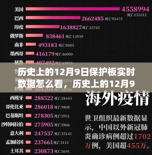 如何查看与解读历史上的12月9日保护板实时数据及其查看方法与步骤详解