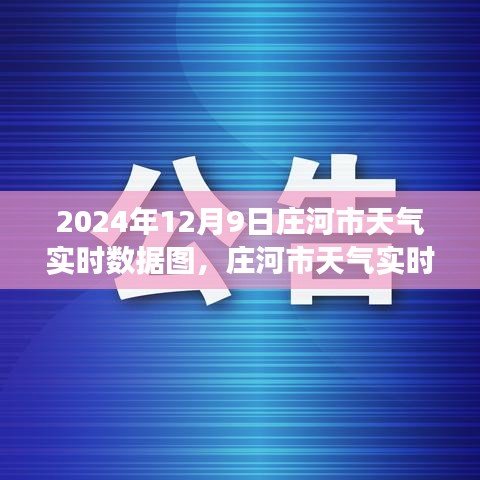 庄河市天气实时数据图解析，气象变化与个人视角观察