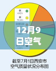 智能空气监测仪体验之旅，揭秘空气菌落实时监测新时代利器，前沿科技守护空气质量