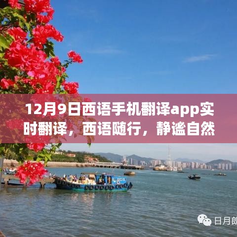 西语手机翻译app，实时翻译助你静享自然之旅，探索世界美景