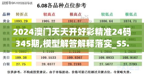 2024澳门天天开好彩精准24码345期,模型解答解释落实_S5.377