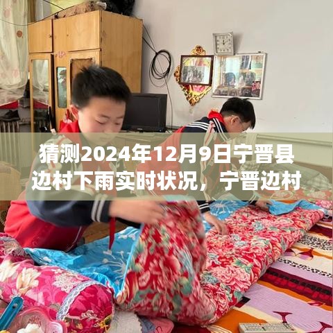 宁晋边村雨中奇遇，友情与陪伴的温馨故事预测（2024年12月9日实时状况）