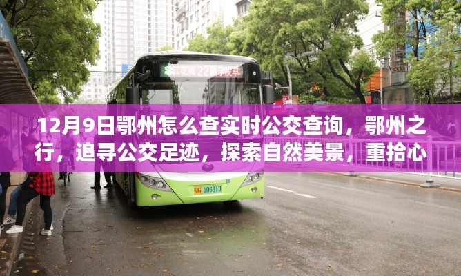 鄂州实时公交查询攻略，追寻公交足迹，探索自然美景与心灵宁静之旅